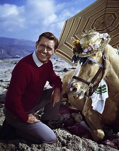 Alan Young Dies: ‘Mister Ed’ Star & Scrooge McDuck Voice Actor Was 96