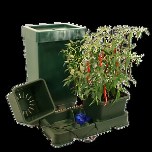 AutoPot Easy2Grow Starter Set ~ Growing System | EUGardencenter