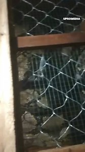 895K views · 8.3K reactions | The snake was determined to make him its dinner, but he wouldn’t give up that easily. Later, they released it far from inhabited areas. | The Enigma | Facebook