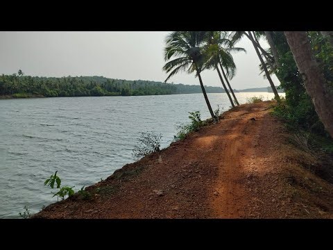 2 Acres 26 guntha Terekhol river touch land for Sale in Kinale #goa #riverside #riverview #goabeach