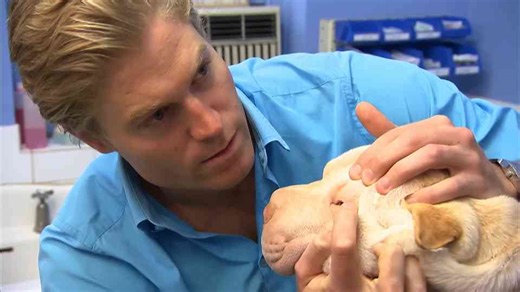 What happened when a puppy’s extra skin began blocking its vision