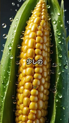 なぜポップコーンははじける？ #雑学 #料理