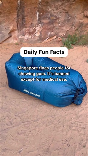 This one’s a conversation starter 🗣️ #ChillboLounger #FunFacts #TriviaVibes