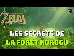 Les secrets de la Forêt Korogu dans Zelda Breath of the Wild