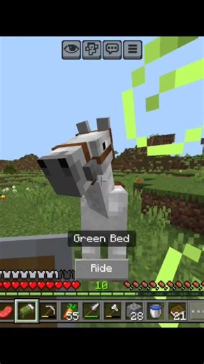 Minecraft really Mein infinity hai kya #minecraft #shorts