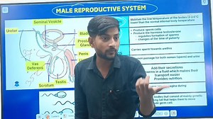 Welcome to our biology class! 🌿 In this video, we’ll understand the Male Reproductive System (पुरुष प्रजनन तंत्र) in a very simple and clear way. आप जानेंगे कि कैसे हमारे शरीर में शुक्राणु (sperms) बनते हैं और कौन-कौन से अंग इस प्रक्रिया में शामिल होते हैं। 📚 What you’ll learn / आप क्या सीखेंगे: Structure and function of male reproductive organs (पुरुष प्रजनन अंगों की संरचना और कार्य) How sperms are produced and transported (शुक्राणु कैसे बनते और आगे बढ़ते हैं) Role of hormones like testostero