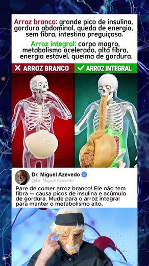 Arroz Branco vs. Integral: O Segredo da Gordura ⚠️🍚