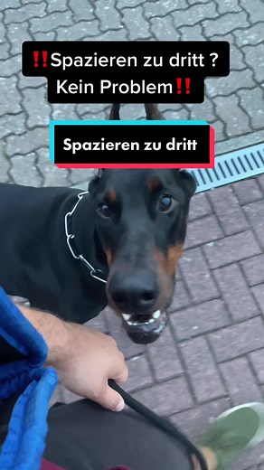 Lokopilami on TikTok