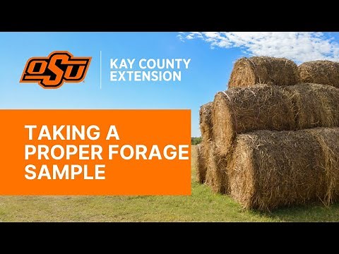 How to take a Proper Forage Sample from Hay Bales - Kay County OSU Extension