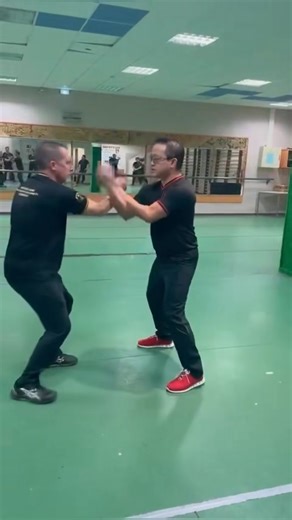 In my « lifetime » in wing chun, I have noticed a few things. THERE ARE TWO TYPES OF SIFUS The first type are the Sifus that take time to break down each technique and explain each technique so that the student can improve gradually, become faster, become more powerful and become better. You have to focus on technique per technique. If you want to teach combos, you have to specifically teach it slow. So when the students would ask « can you show it again », it is actually a good sign for the Sif