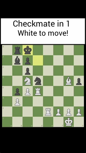 Can you find the checkmate.Put your answer in the comment box #viral #chess #viralvideo #viralshorts