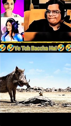 The lion king funny scene🤣 #thelionking #funny #funnyshorts #trendingnow #comedyshorts #comedy