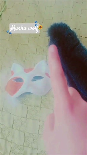 всем привет сегодня я квадробика 🐾🌻меня зовут Мурка волф🌻🐾