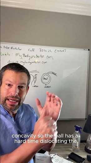 Shoulder Labrum -Anatomy