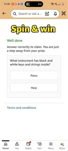What instrument has black and white keys and strings inside