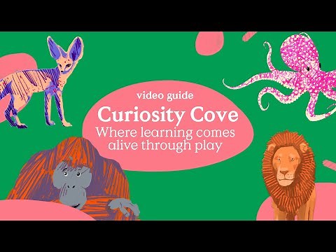 Video Guide: Curiosity Cove – Where Learning Comes Alive Through Play