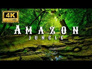🌿 Amazon Rainforest 4K | A Journey Into Earth’s Last Paradise
