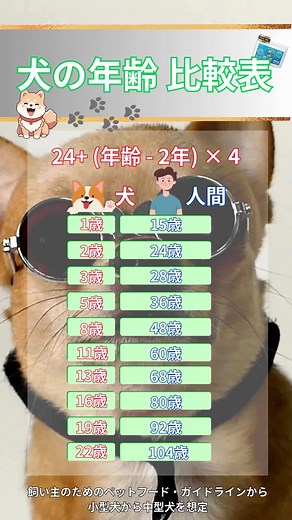 犬の年齢比較表 - 環境省のデータから