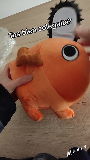 Graciaaas por el regalo! ❤️❤️❤️ #pochita #plush #peluche #chainsawman