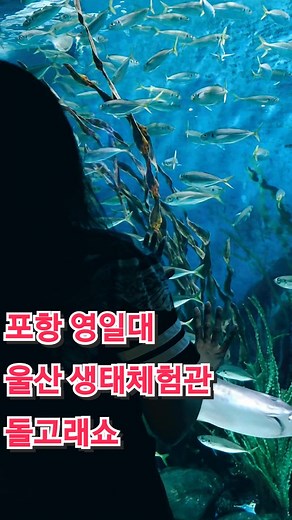 #포항영일대 #울산고래박물관 #수족관 #돌고래쇼 #장생포 #명소 #추천 #이슬나라탕수육소스 #사진명소 #이슬나라 #푸드유닛 #푸드유닛 #진성바이오 #소스는이슬나라 #향신료는이슬나라 #e450cabriolets #요트블루베이지 #오픈카 #컨버터블 #fyp #응답하라00