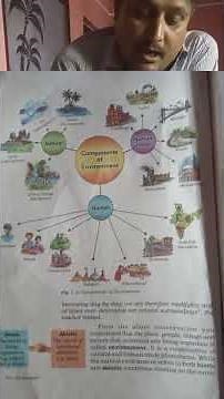 Components of Environment