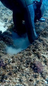 Amazing sea | Amazing Sea