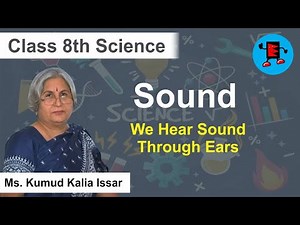 CBSE Class 8 Science Sound We Hear Sounds Through Ears