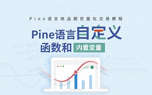Pine语言自定义函数和内置变量