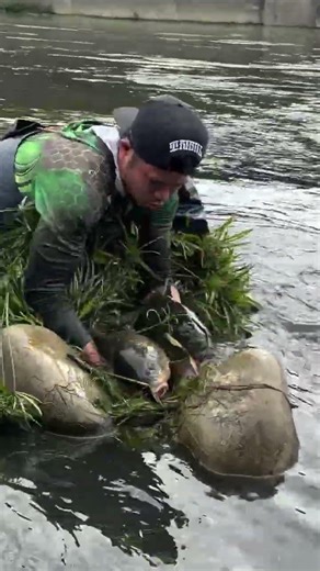"Catching a Giant Fish by Hand in the River 😱 | Real Survival Fishing Trick!" #comedyvideo