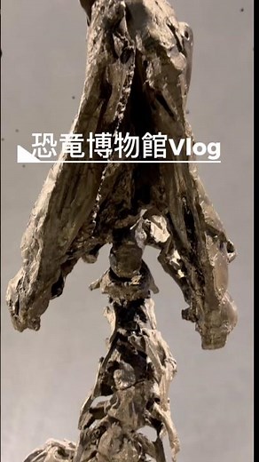 Vlog〜恐竜博物館in福井〜#福井県#恐竜博物館#vlog