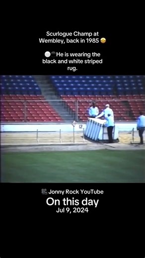 #onthisday #goosebumps #greyhound #greyhoundracing