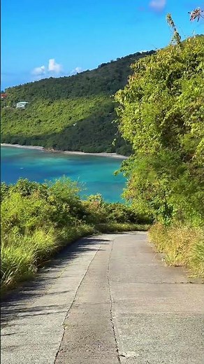 Caribbean beach view to DIE FOR 🥹❤️ #shorts #travel #britishvirginislands