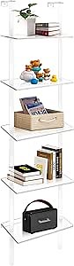 Acrylic Ladder Bookshelf 9.5" D x 15.6" W x 73" H Clear Bookcase Narrow Display Shelf for Small Space Wall Mounted Storage Rack for Living Room Bedroom Cloakroom Bathroom (5-Tier)