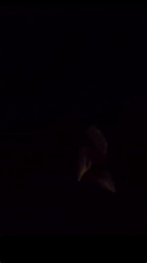 At first, the water looks completely normal as the man stands on a rock just below the surface 🏄