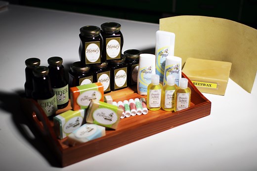 UPLB Bee Program – UPLB AGORA