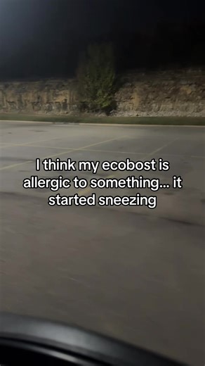 vta mod>> | eco boost