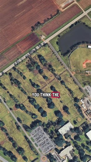 Largest Farms in Louisiana: Size and Scale