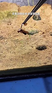 359K views · 1.9K reactions | #feedinganimal #feeding #feed #fishfeeding #fishinglife #fish #snake #frog #eel #shrimp #lobster #crab #turtle #animal #pet #nature #reel2024 #foryou #fbreels #trendingreels #trendingvideo #viralreels | Harry Hana | Facebook