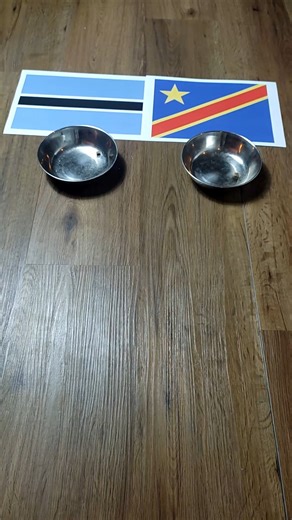 Oracle Cat on Instagram: "Botswana vs. DR Congo Oracle Cat predicts: 0:1 DR Congo What’s your prediction? #oraclecat #afcon #botswana #congo"