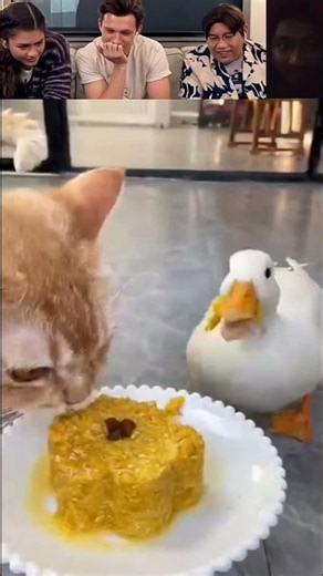This is so funny, I couldn't stop laughing 😂😂 #funny #funnyvideos #duet