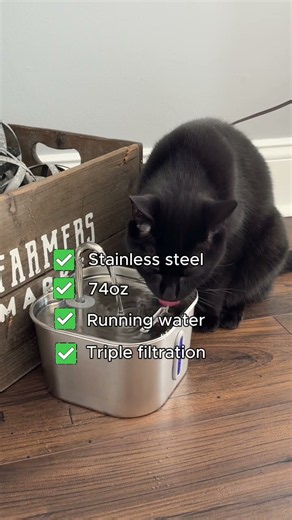 Your cat ignoring their water bowl again? 🐱 Mine used to do the exact same thing.