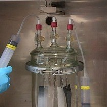 Enhancing Air Filtration with Spider Silk | JoVE Journal