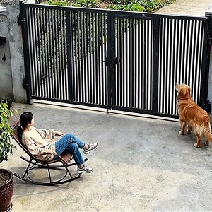 Animal intuition | I love animals.