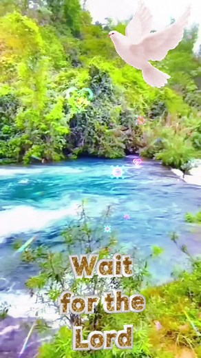 nana kofi antwi on TikTok