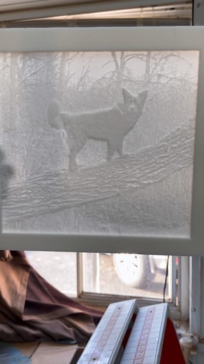 1.3K views · 3 comments | Lithophanes are one of my fave things to do on the CNC. 1/4” corian countertop material cut to within a few thousandths thickness. Photo VCarve software makes the setup simple. The cuts are roughed with a 1/8” ball nose and finished with a 1/16” ball nose for detail. This one is of @coyote__teeth dog, Vida. @axiomprecision @axiomcncprojects #lithophane #cnclithophanes #cncproject #cnc #axiomcnc #ballnoserouter | Vondriska Works | Facebook