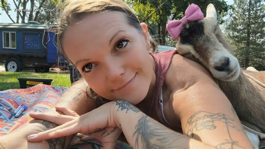 Meet Little Leaf, the adorable pygmy goat who has traveled to 41 states and counting