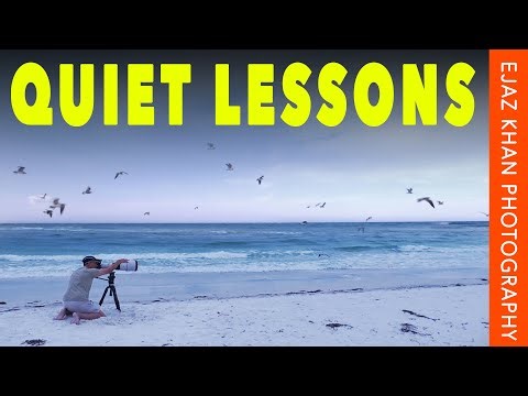 If You Photograph Wildlife, Listen to This