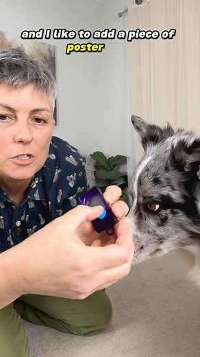Kikopup on Instagram: "Getting started training your dog with Clicker Training! How to get started clicker training your dog. Emily Larlham AKA kikopup has been making free training videos for well over a decade so check out her huge library of dog and puppy training tutorials ranging from topics such as getting started training mouthing biting pulling on leash jumping up and issues such as fear reactivity and aggression. Happy training! -Kikopup #dogtraining #clicertraining #puppytraining #posi