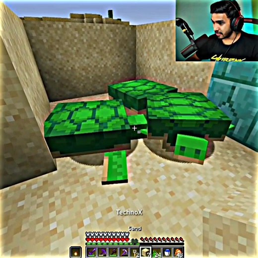 Techno Gamerz Got Scammed by Turtles 😂 |#shorts #minecraft #technogamerz