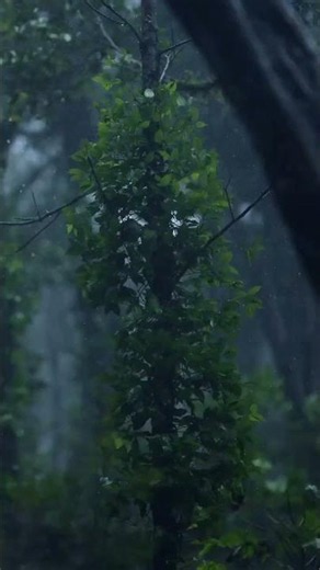 this weather just feel😌#ytshorts #lyrics #music#viralshort #shorts #shortvideo